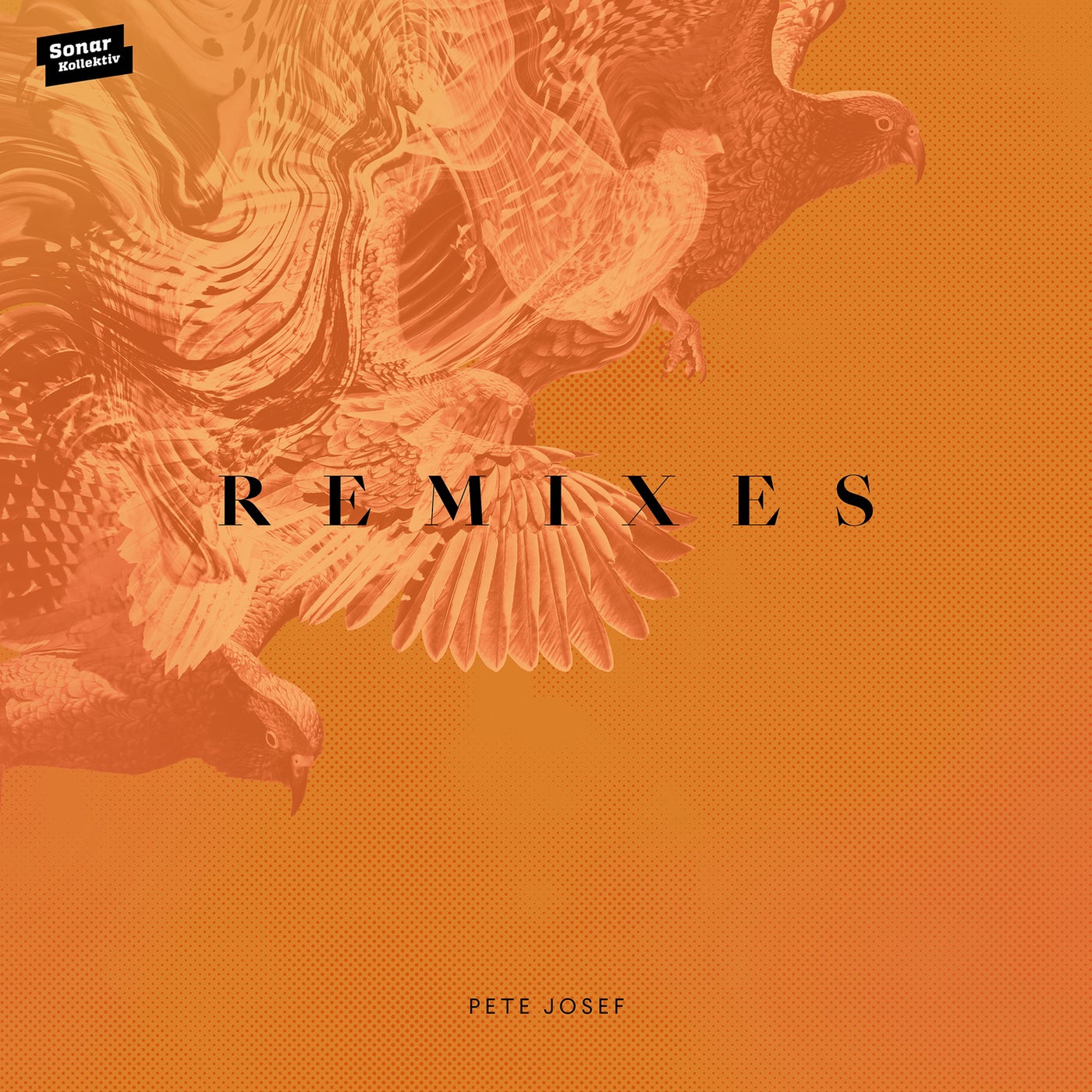 Pete Josef – Remixes [SK404D]